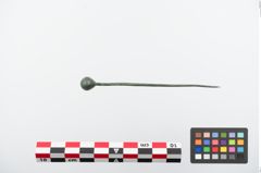 Foto von Kugelkopfnadel (NHMW-PRAE-024171)